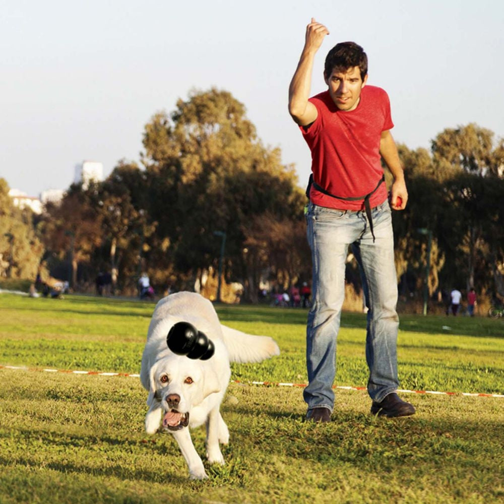 KONG Extreme Dog Toy: Ideal for Power Chewers