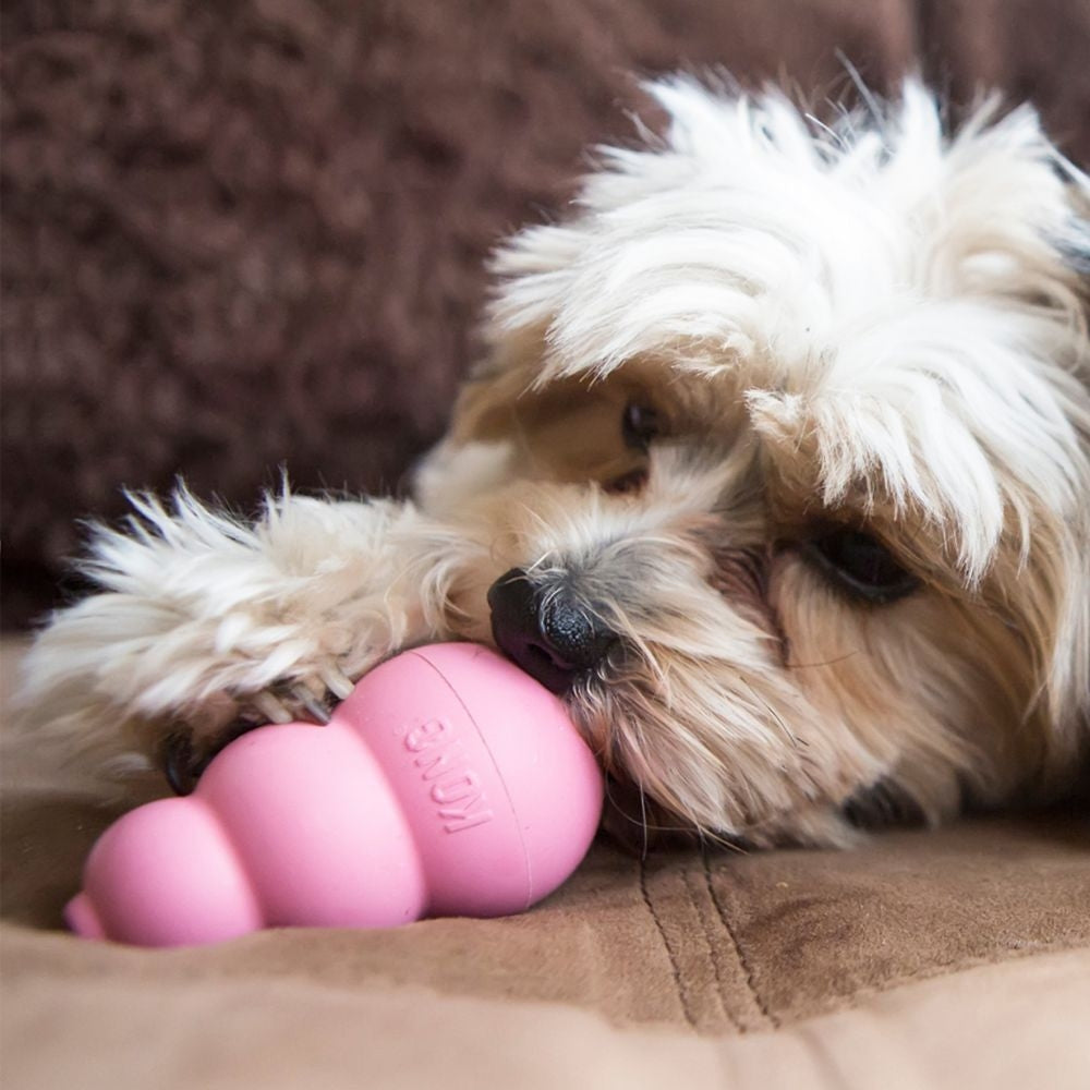 Puppy KONG: Perfect Toy for Your Growing Pup!