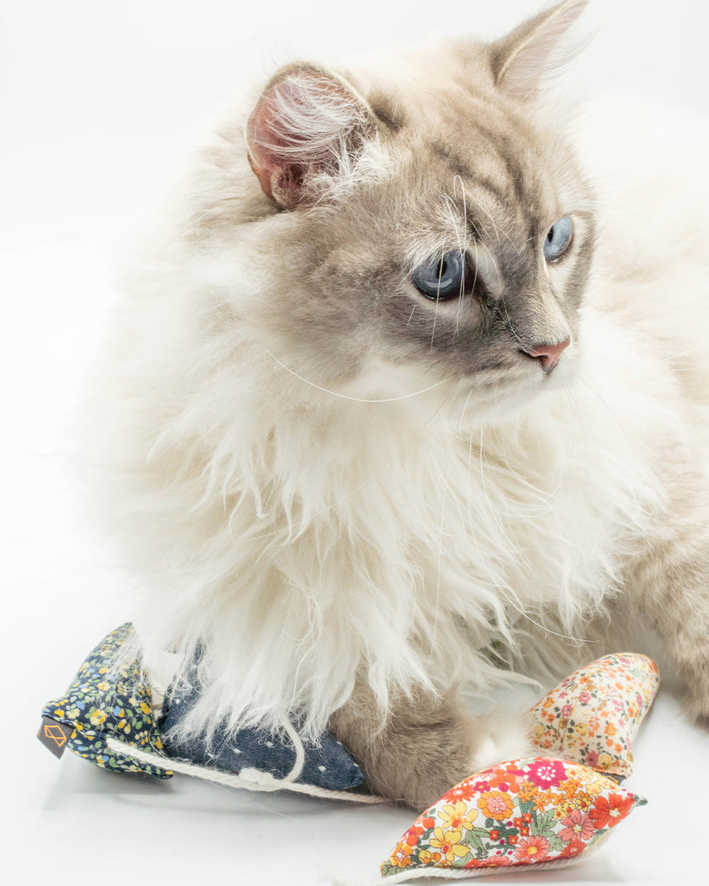 Modern Floral Mouse Cat Toy – Organic Catnip Plush Mouse Toy for Indoor Cats & Kittens