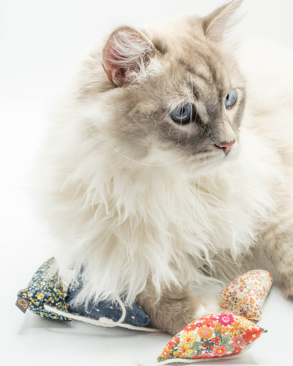 Modern Floral Mouse Cat Toy – Organic Catnip Plush Mouse Toy for Indoor Cats & Kittens