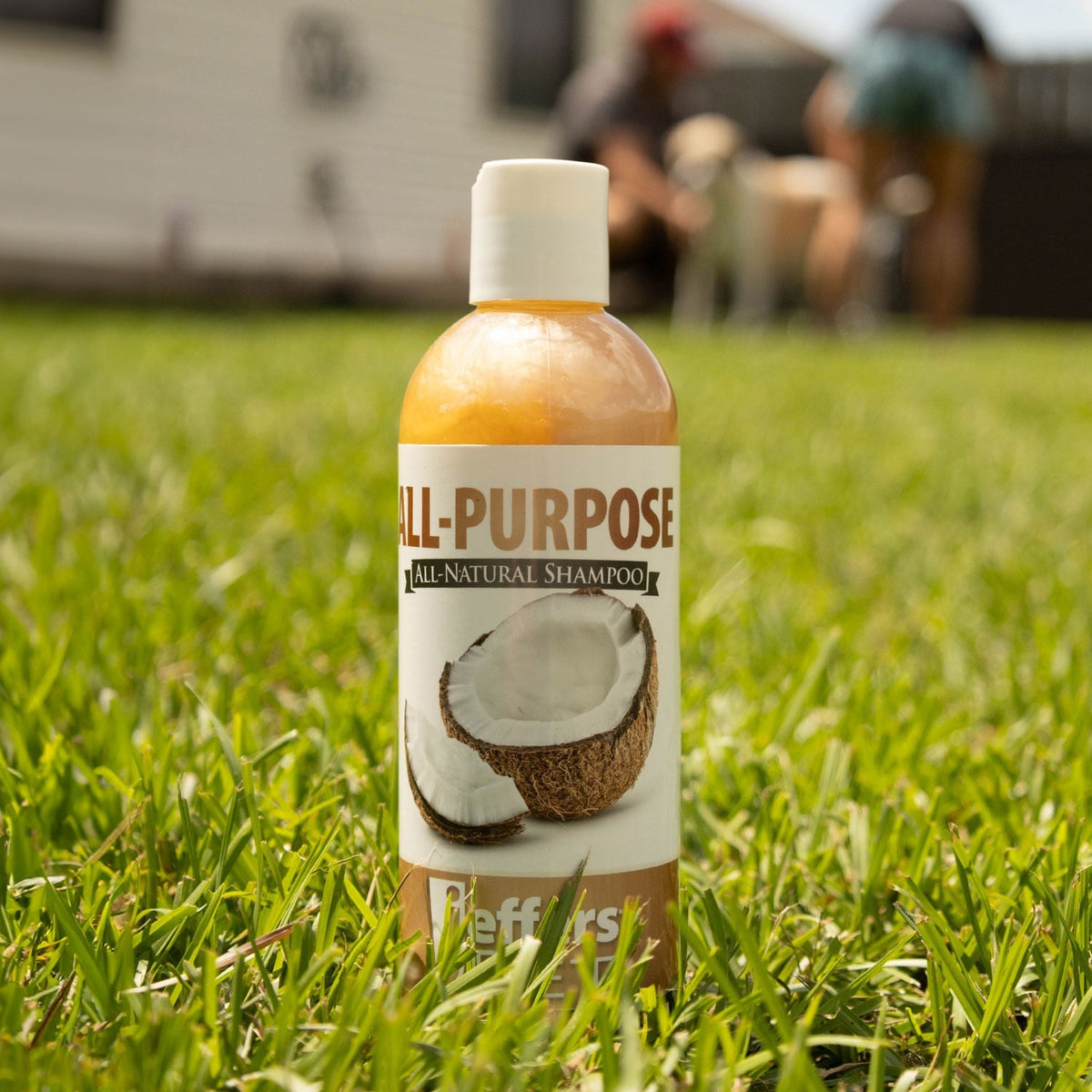 Jeffers Pet Tearless All-Purpose Coconut Oil Shampoo – 8:1 Concentrated Shampoo for Dogs & Cats