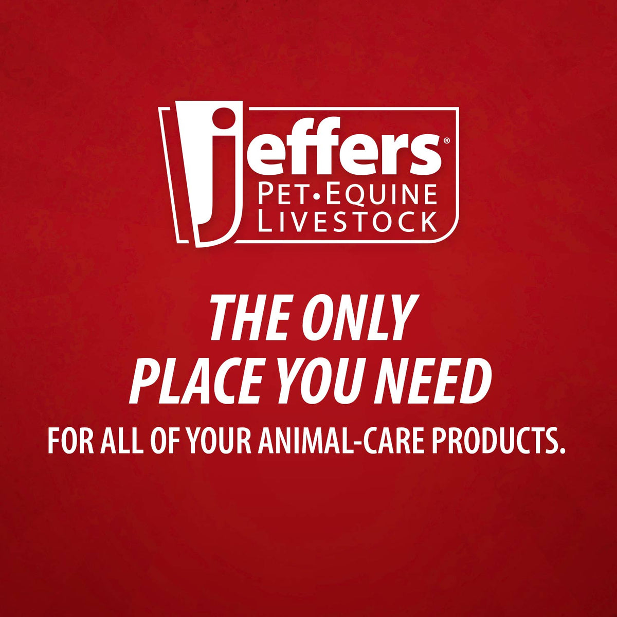 Jeffers 2% Chlorhexidine Medicated Shampoo – Antiseptic Skin & Coat Shampoo for Dogs, Cats & Horses