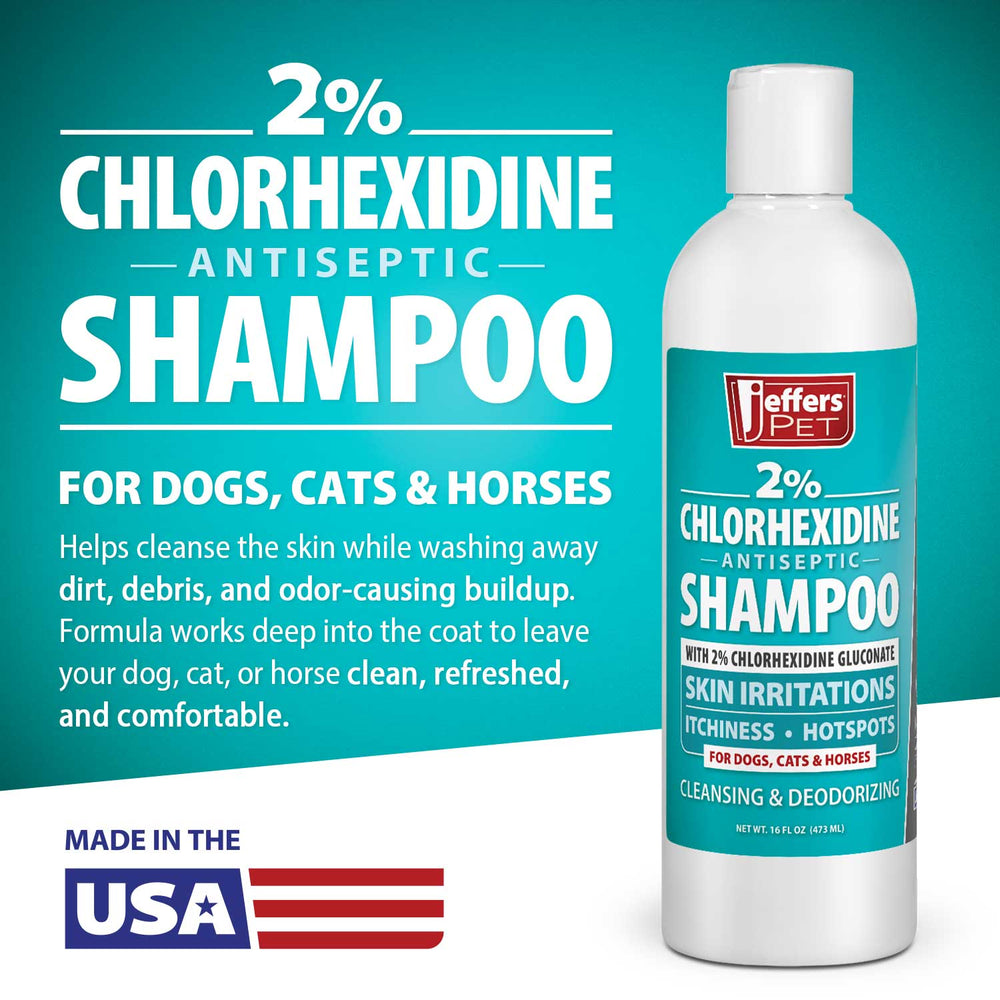 Jeffers 2% Chlorhexidine Medicated Shampoo – Antiseptic Skin & Coat Shampoo for Dogs, Cats & Horses