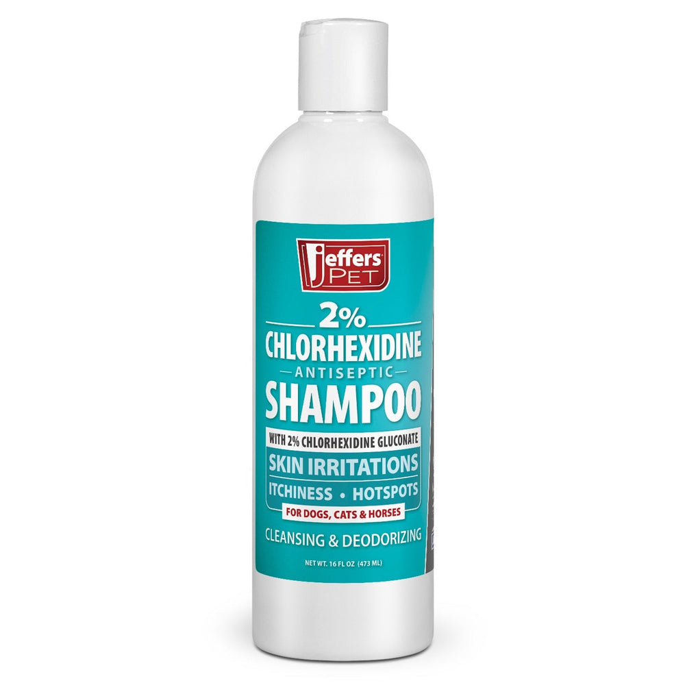 Jeffers 2% Chlorhexidine Medicated Shampoo – Antiseptic Skin & Coat Shampoo for Dogs, Cats & Horses