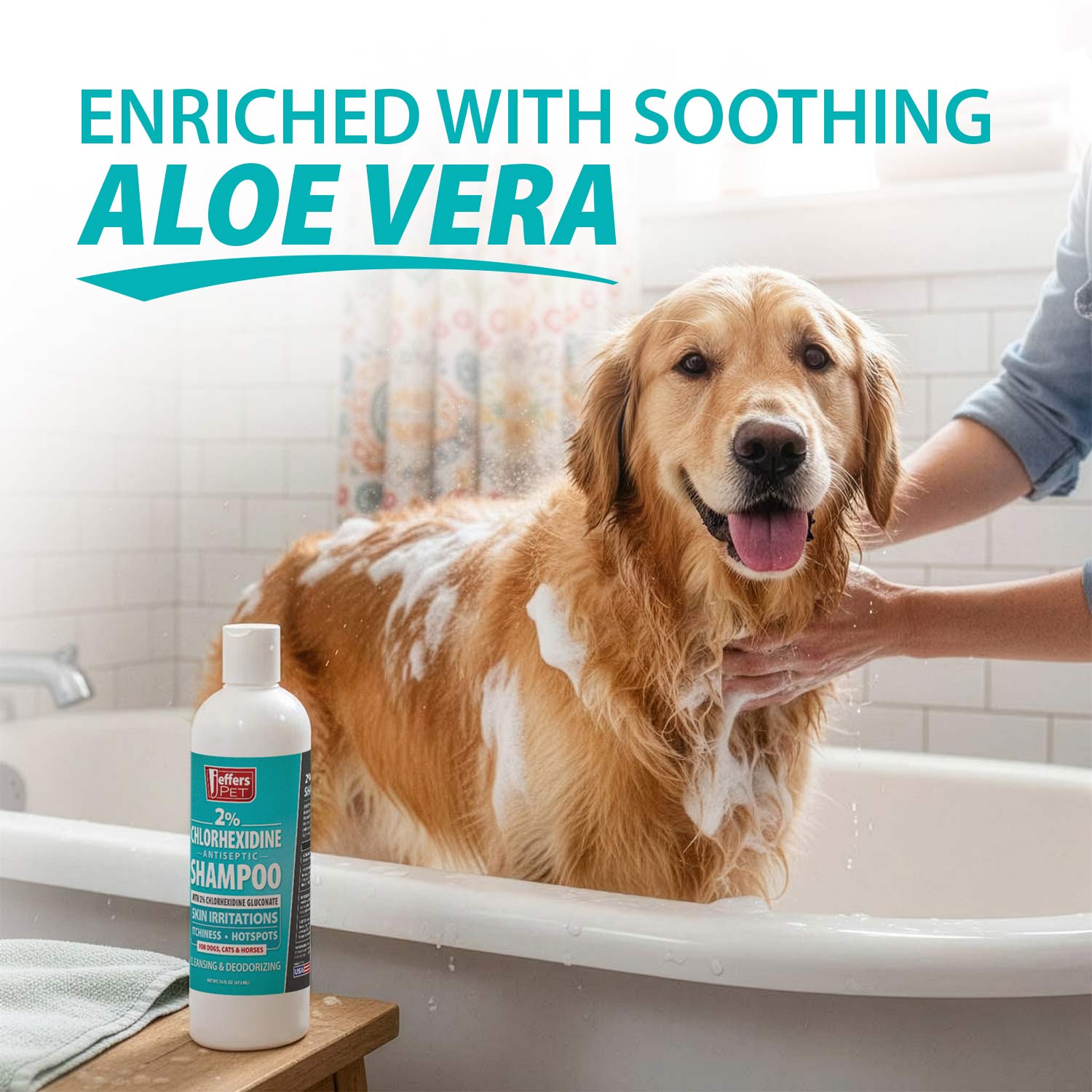 Jeffers 2% Chlorhexidine Medicated Shampoo – Antiseptic Skin & Coat Shampoo for Dogs, Cats & Horses