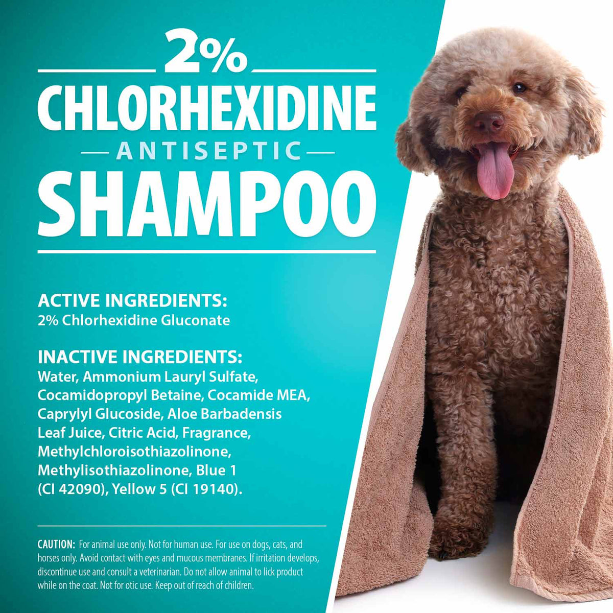 Jeffers 2% Chlorhexidine Medicated Shampoo – Antiseptic Skin & Coat Shampoo for Dogs, Cats & Horses