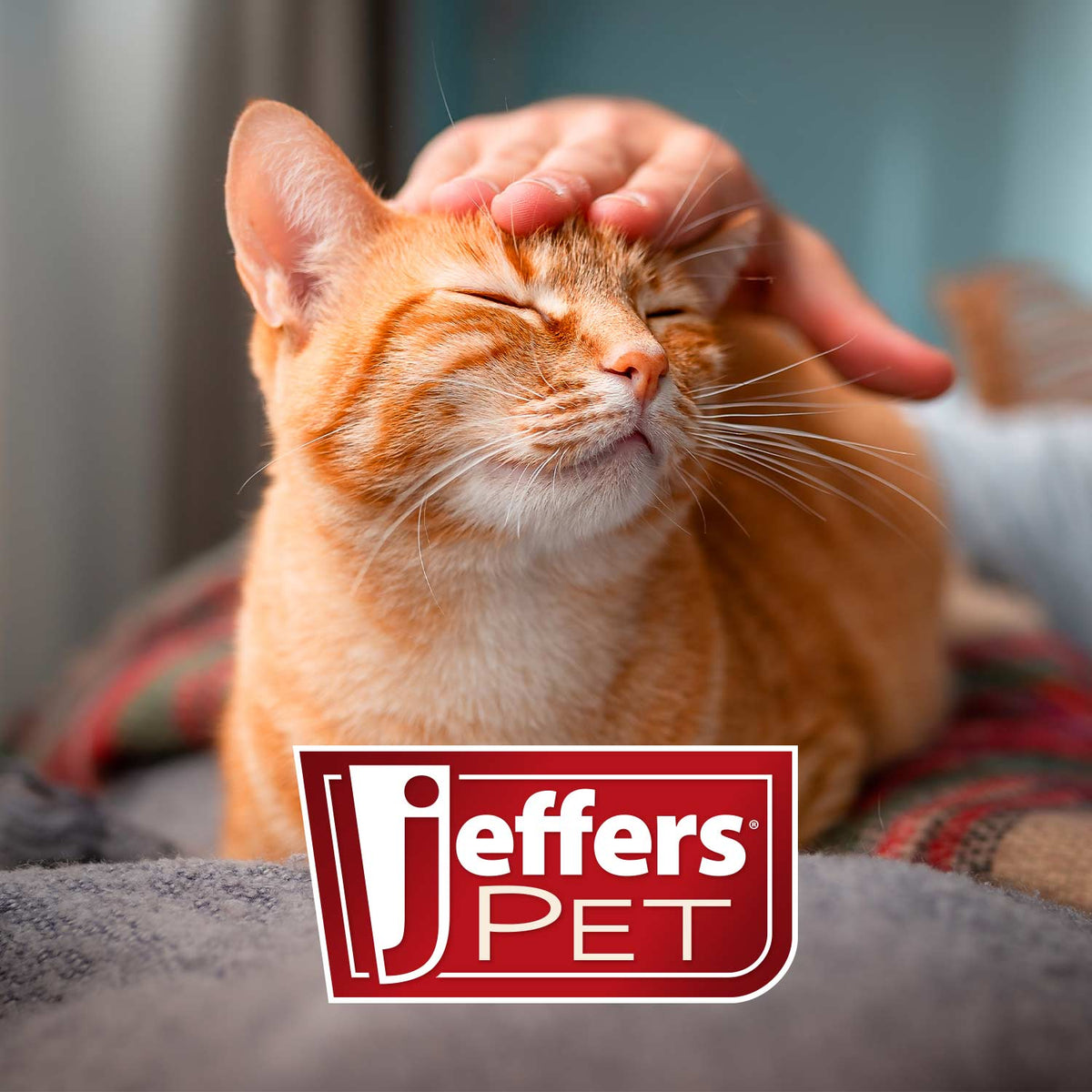 Jeffers Pet Vanilla Walnut Exfoliating & Conditioning Shampoo – 7:1 Concentrated Dog & Cat Shampoo