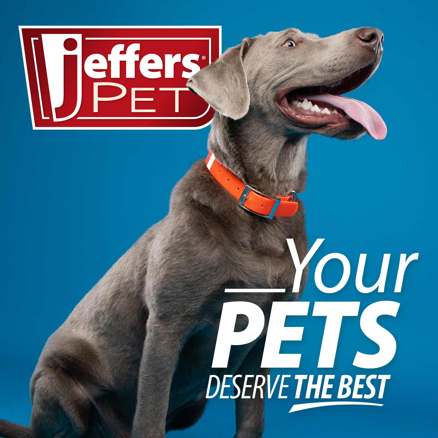 Jeffers Hypoallergenic Moisturizing Pet Shampoo – 15:1 Concentrated Shampoo for Sensitive Skin