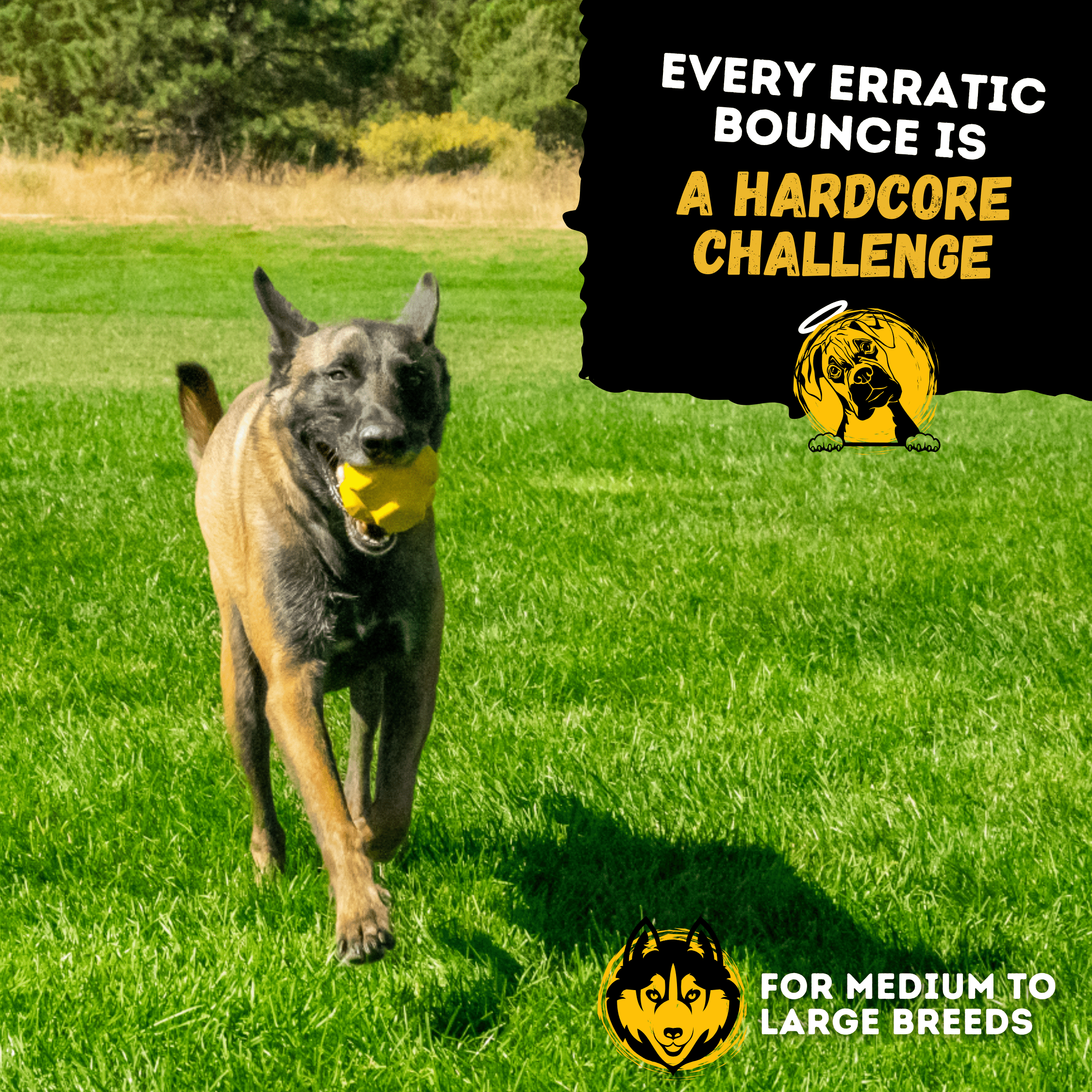 WOOFBITE Jumping Jack – Heavy-Duty Rubber Dog Toy for Aggressive Chewers
