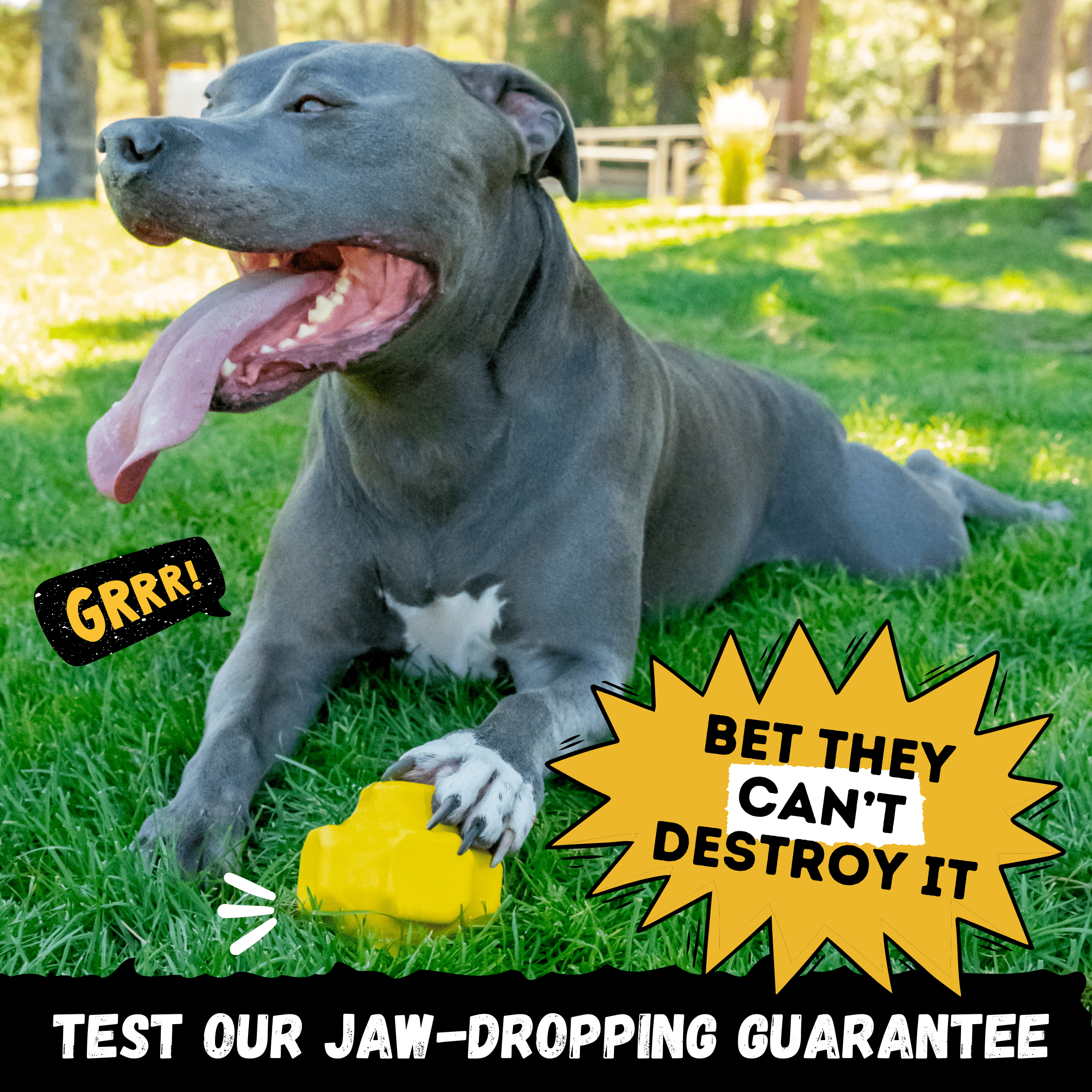 WOOFBITE Jumping Jack – Heavy-Duty Rubber Dog Toy for Aggressive Chewers
