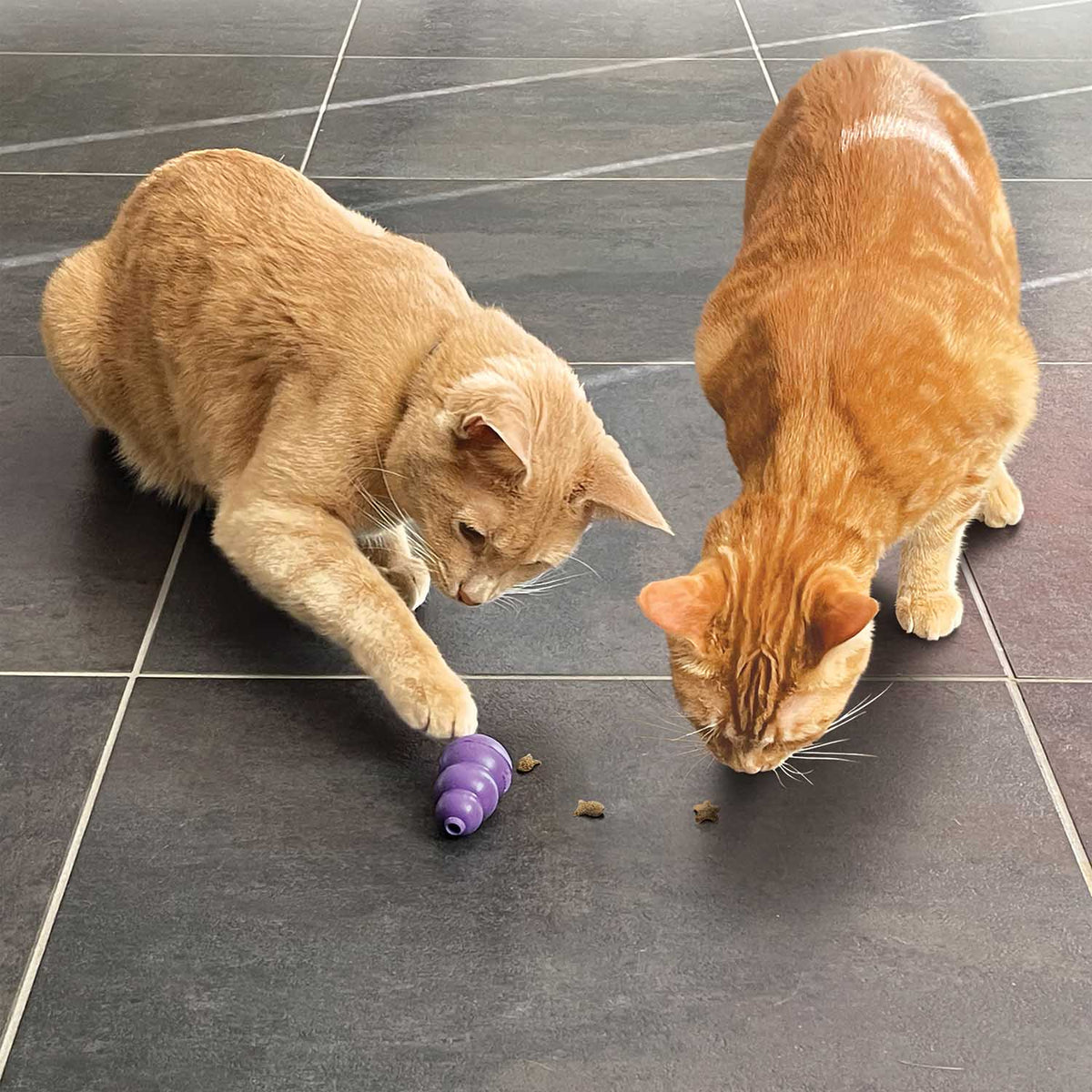 KONG Cat Nibbies Crunchy Cat Treats – 2 oz Kitty KONG Treats