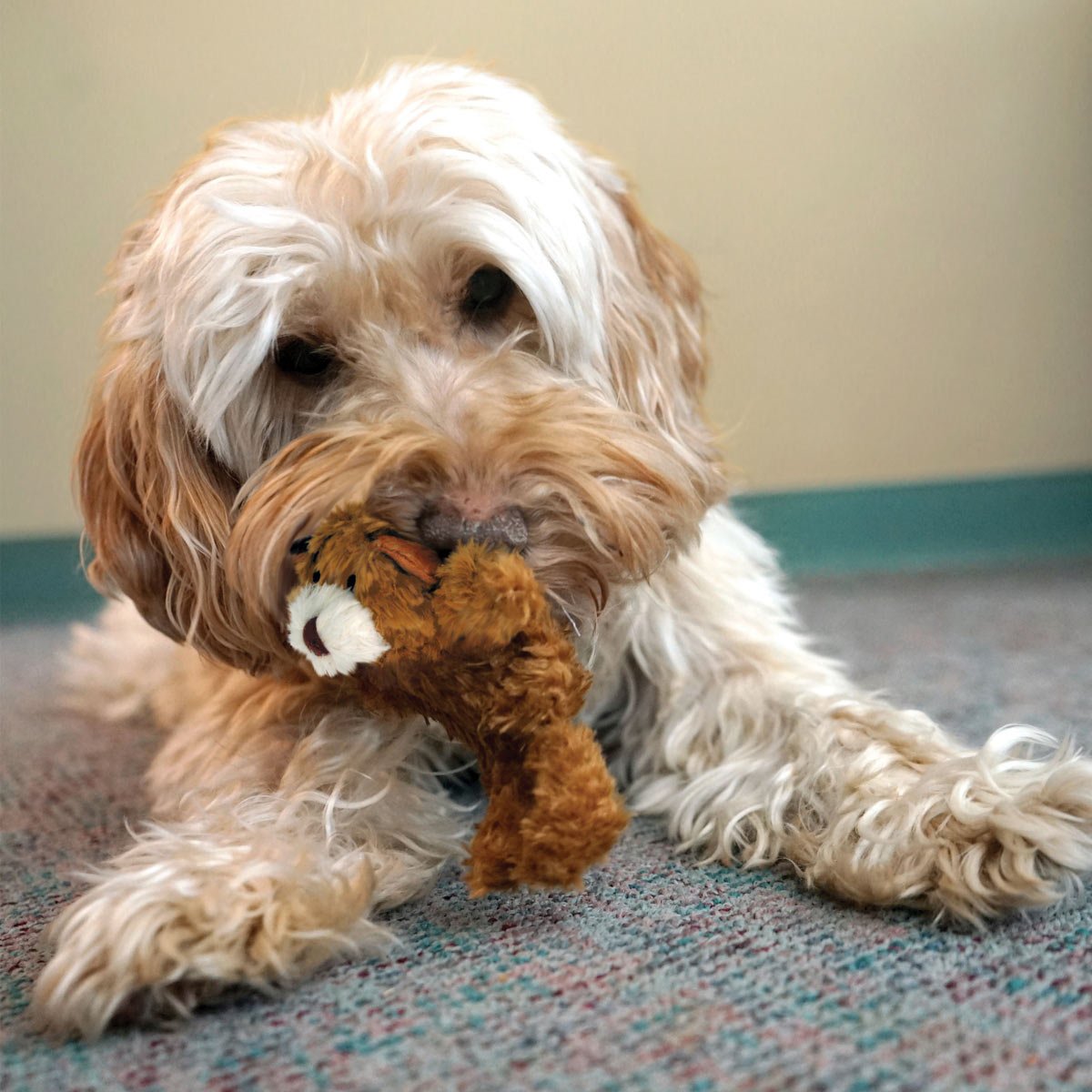 KONG Dr. Noyz X-Small Plush Dog Toys — Big Fun for Tiny Pups