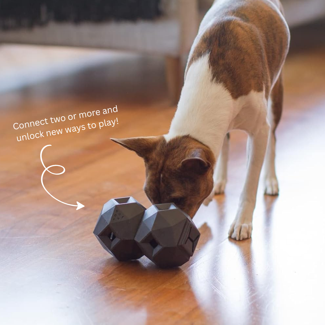 The Odin Treat Dispensing Dog Toy – Interactive Puzzle & Slow Feeder for Mental Stimulation