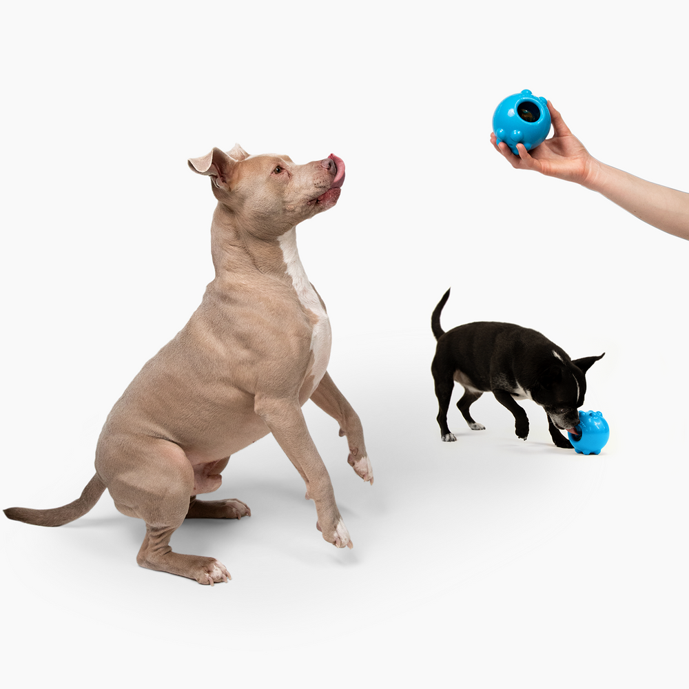 Jolly Dipper™ Treat Dispensing Dog Toy by Jolly Pets – Durable Chew, Lick & Bounce Fun for All Breeds