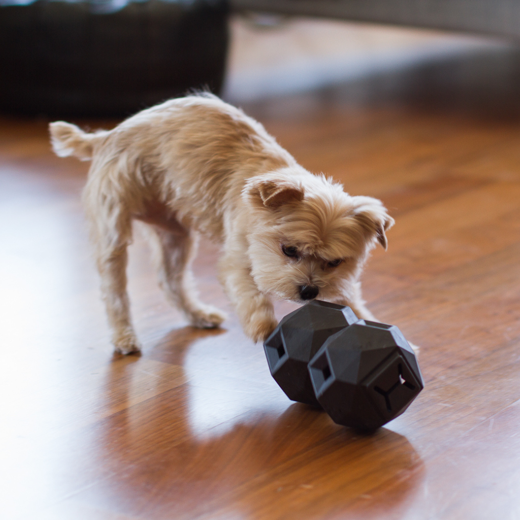 The Odin Treat Dispensing Dog Toy – Interactive Puzzle & Slow Feeder for Mental Stimulation