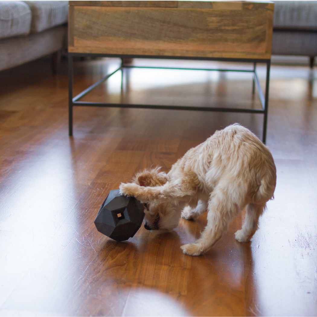 The Odin Treat Dispensing Dog Toy – Interactive Puzzle & Slow Feeder for Mental Stimulation