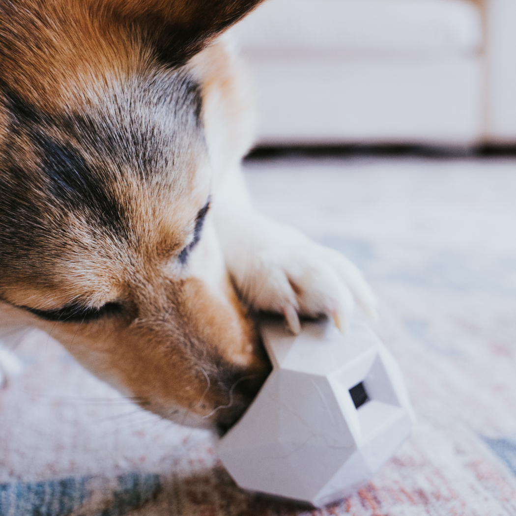 The Odin Treat Dispensing Dog Toy – Interactive Puzzle & Slow Feeder for Mental Stimulation
