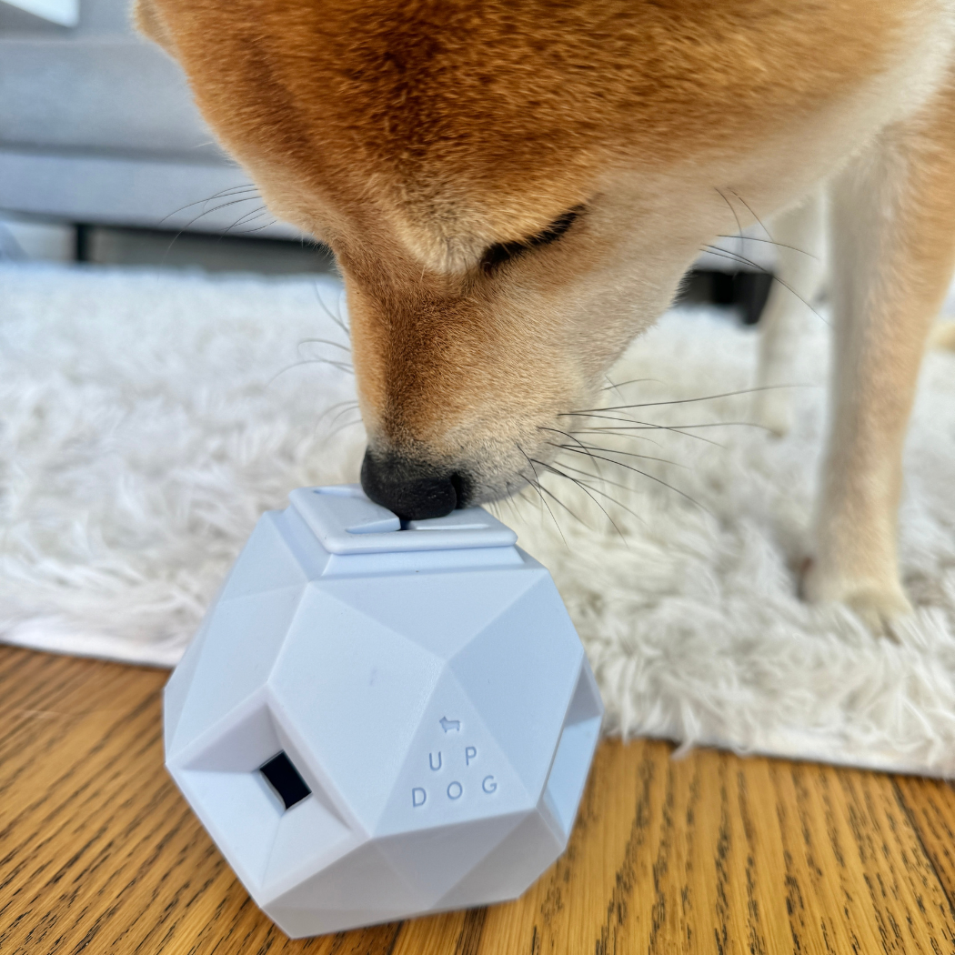The Odin Treat Dispensing Dog Toy – Interactive Puzzle & Slow Feeder for Mental Stimulation