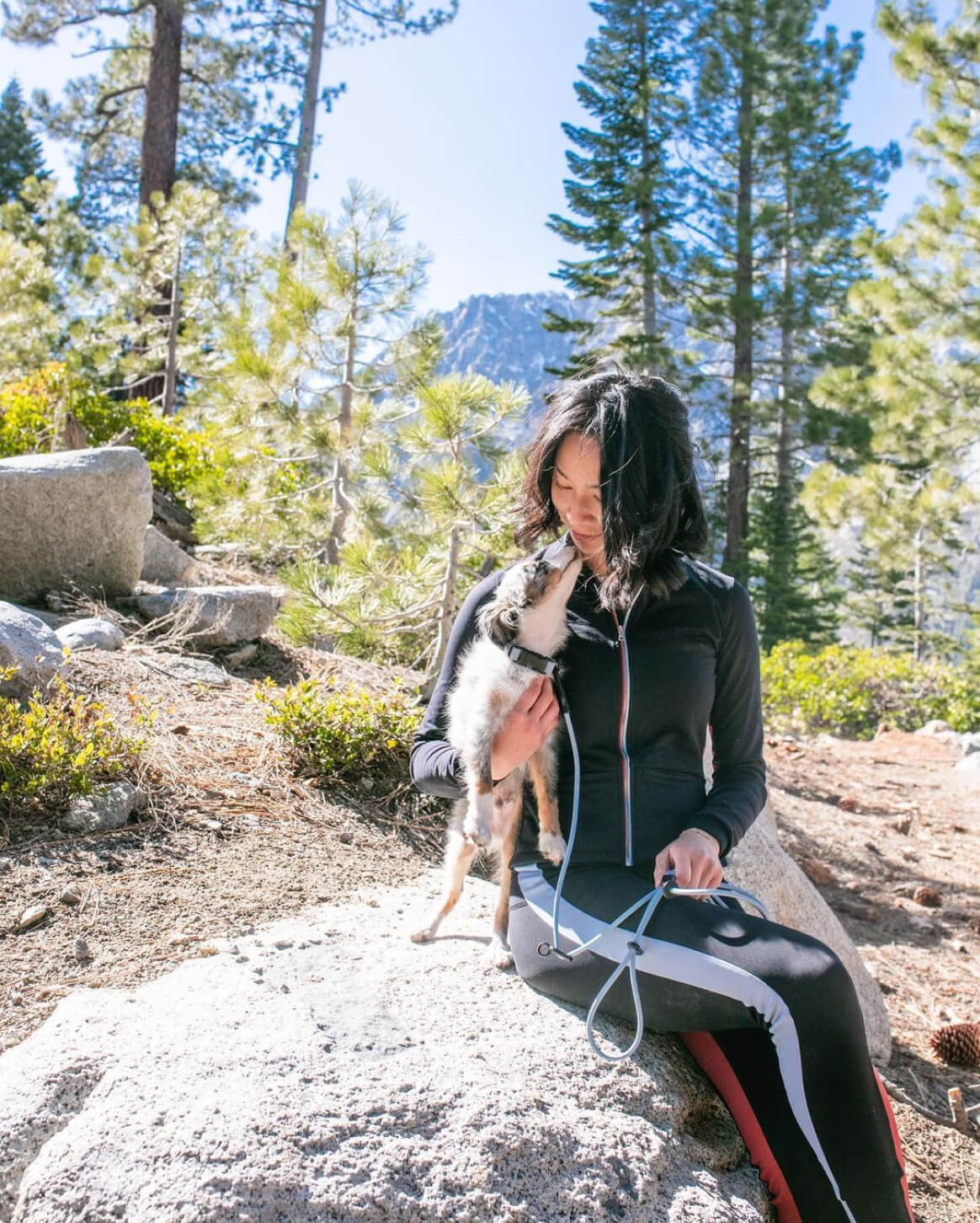 Magic Link® Hands-Free Dog Leash – Wear as Belt, Bandolier, or Wrist Strap