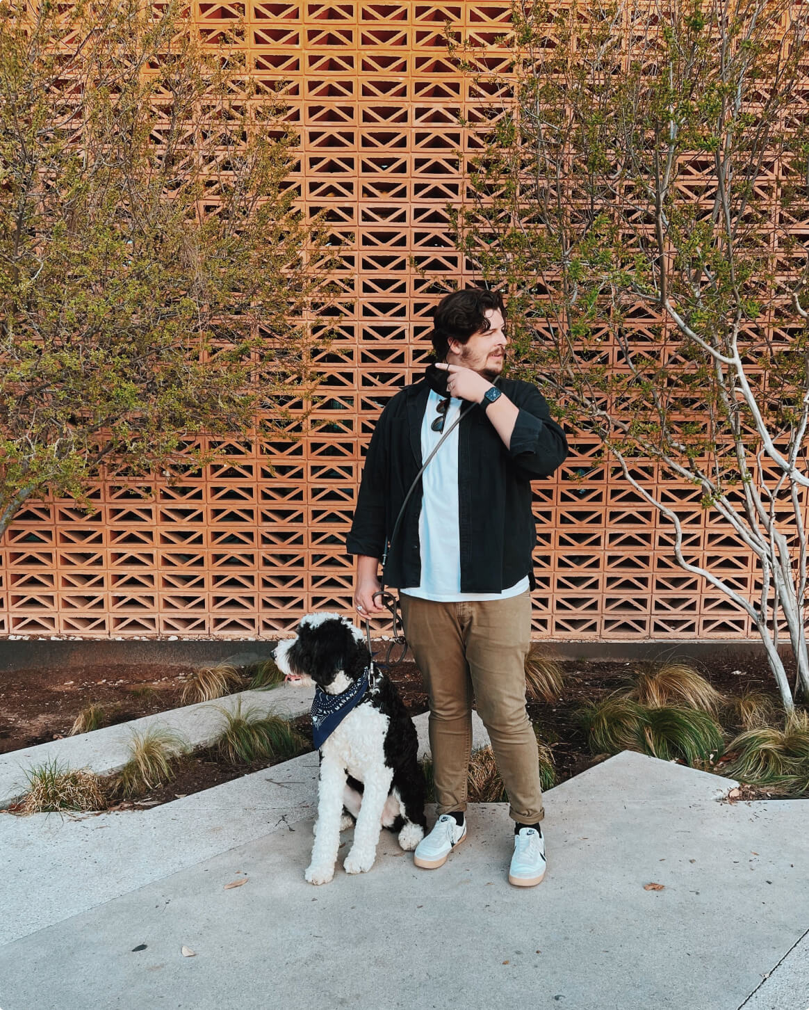 Magic Link® Hands-Free Dog Leash – Wear as Belt, Bandolier, or Wrist Strap
