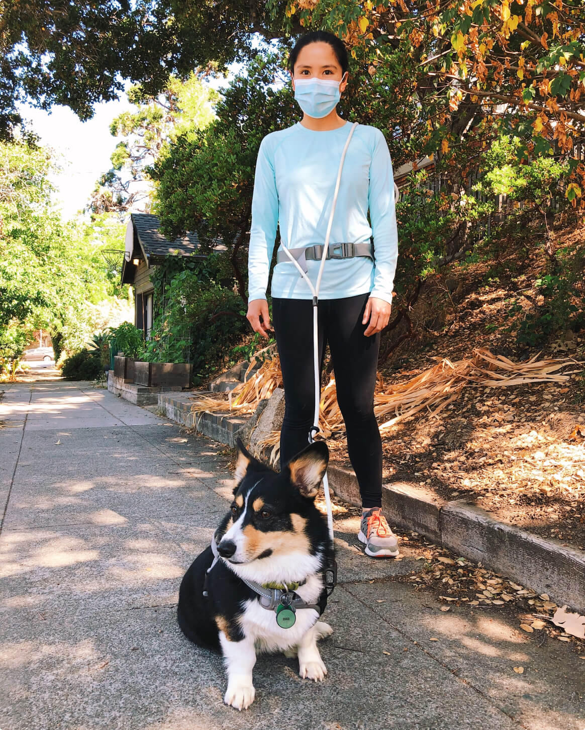 Magic Link® Hands-Free Dog Leash – Wear as Belt, Bandolier, or Wrist Strap