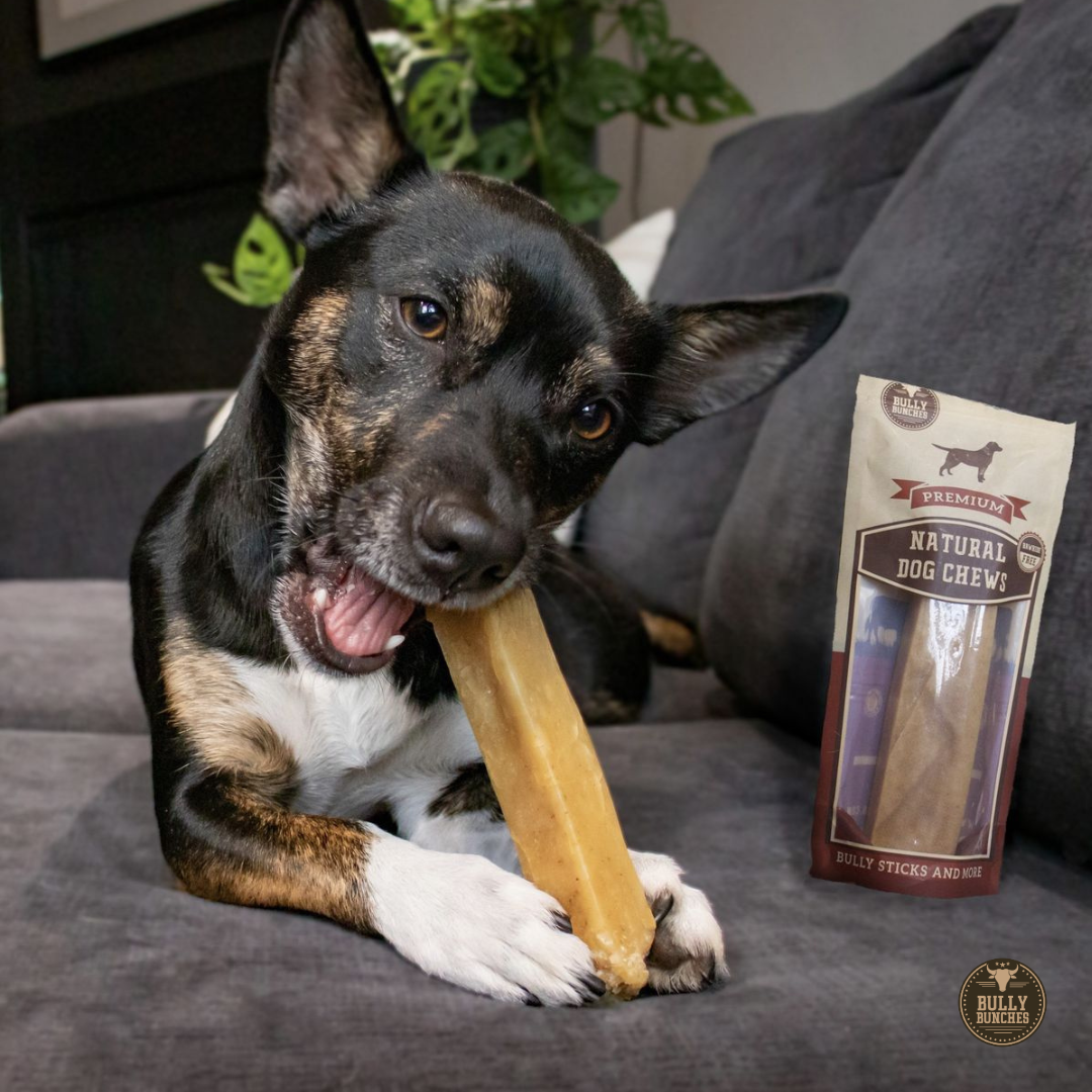 Medium Yak Chews – Himalayan Yak Cheese Dog Chews for Small & Medium Dogs
