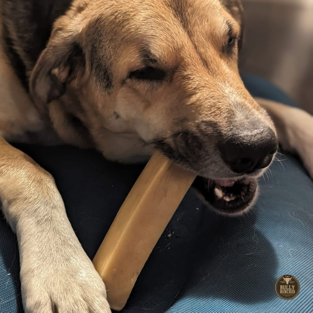 Mega Yak Cheese Dog Chew – Extra Large Himalayan Yak Milk Chew for Aggressive Chewers (190g+)