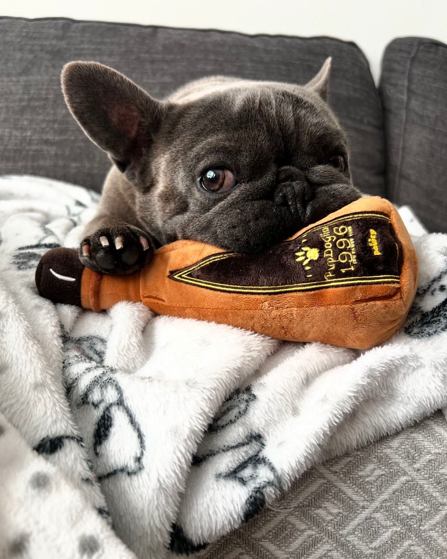 1996 Tequila Dog Toy – Funny Squeaky Plush Bottle for Dogs