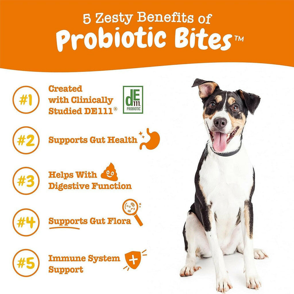 Zesty Paws Probiotic Bites for Dogs – Pumpkin Flavor Digestive Chews, 90 Ct