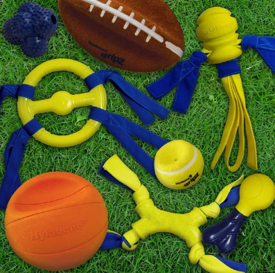 Nylabone Power Play B-Ball Gripz – Durable Interactive Basketball Dog Toy for Fetch & Chewing