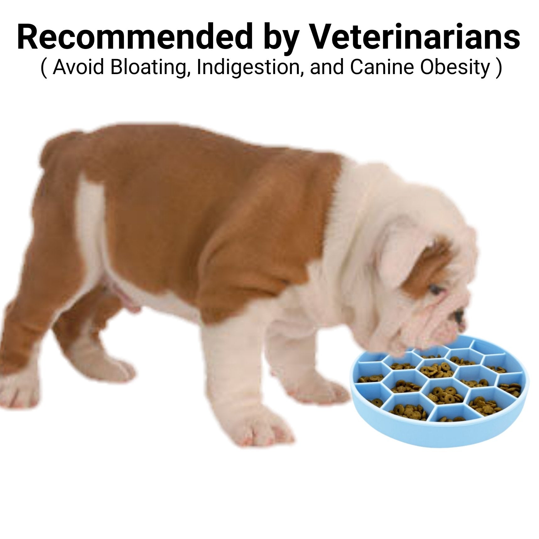 Mr. Peanut’s Slow Feeder Bowl 🐾 – Soft Silicone, Non-Slip & Vet-Approved!