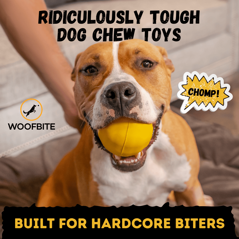 WOOFBITE Durable Rubber Dog Toy – Heavy-Duty Ball for Aggressive Chewers