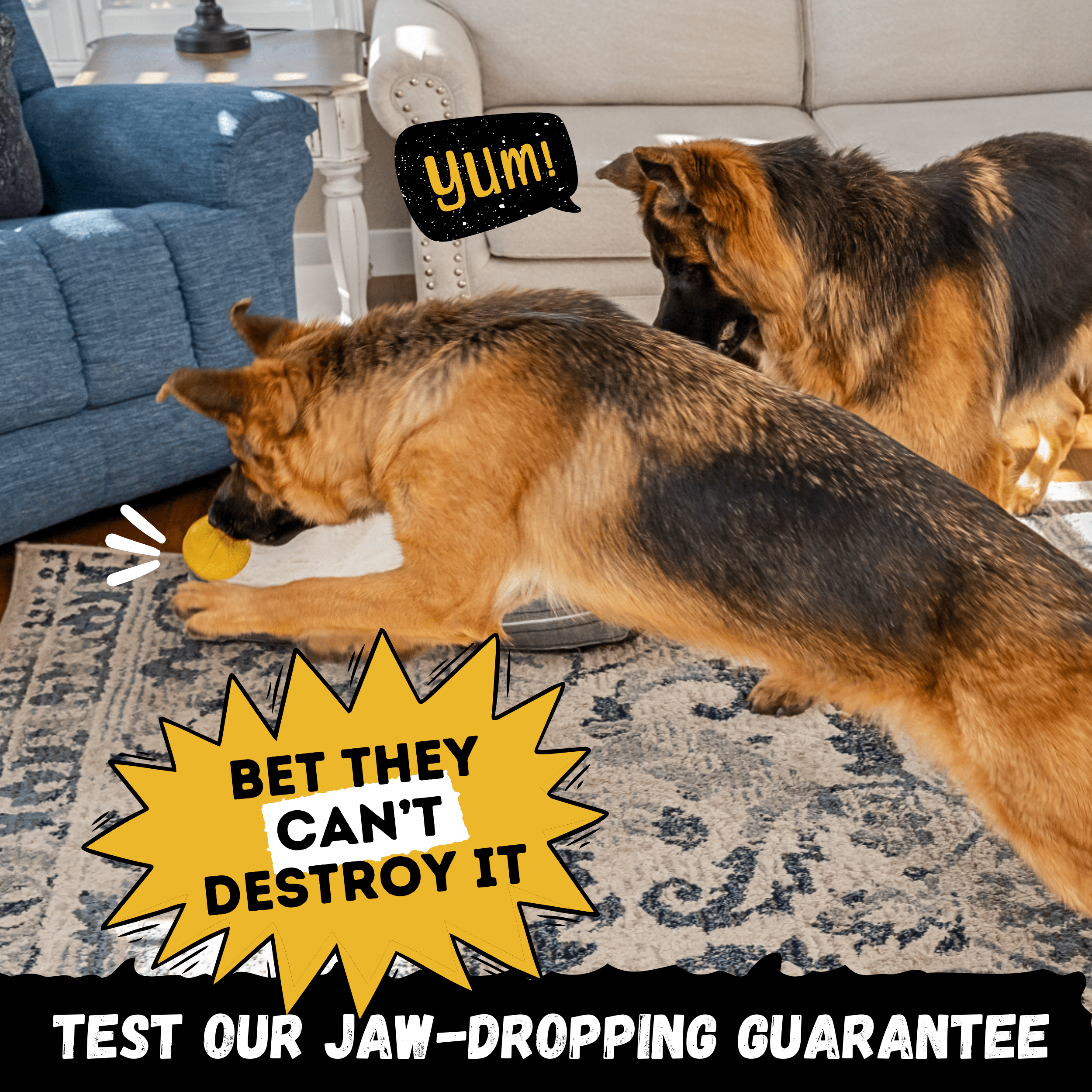 WOOFBITE Durable Rubber Dog Toy – Heavy-Duty Ball for Aggressive Chewers