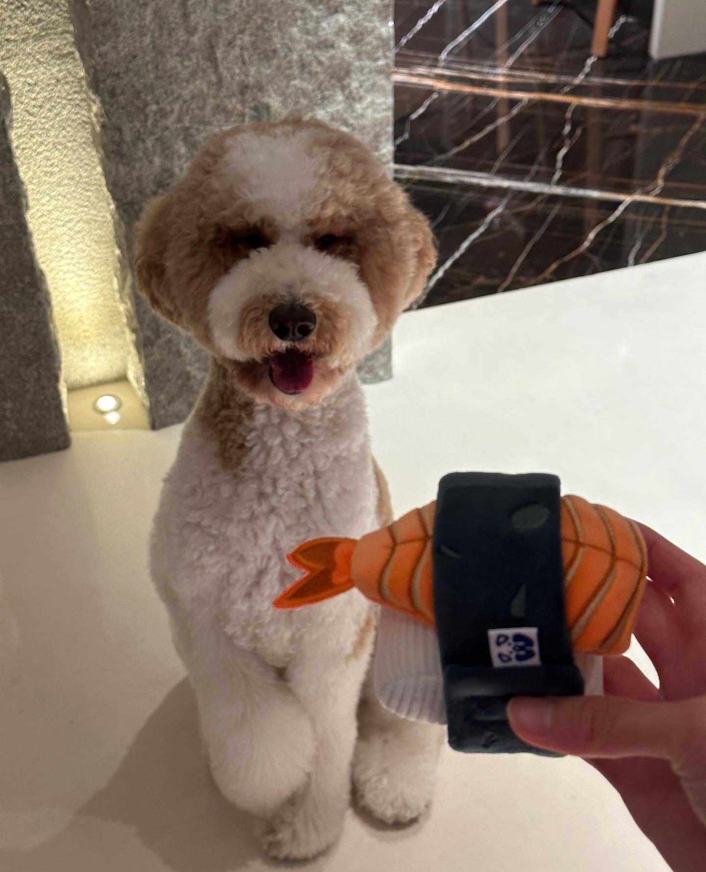 PAWTY Sushi Dog Toy Set – Plush Sushi-Shaped Toys for Fetch, Cuddle & Play