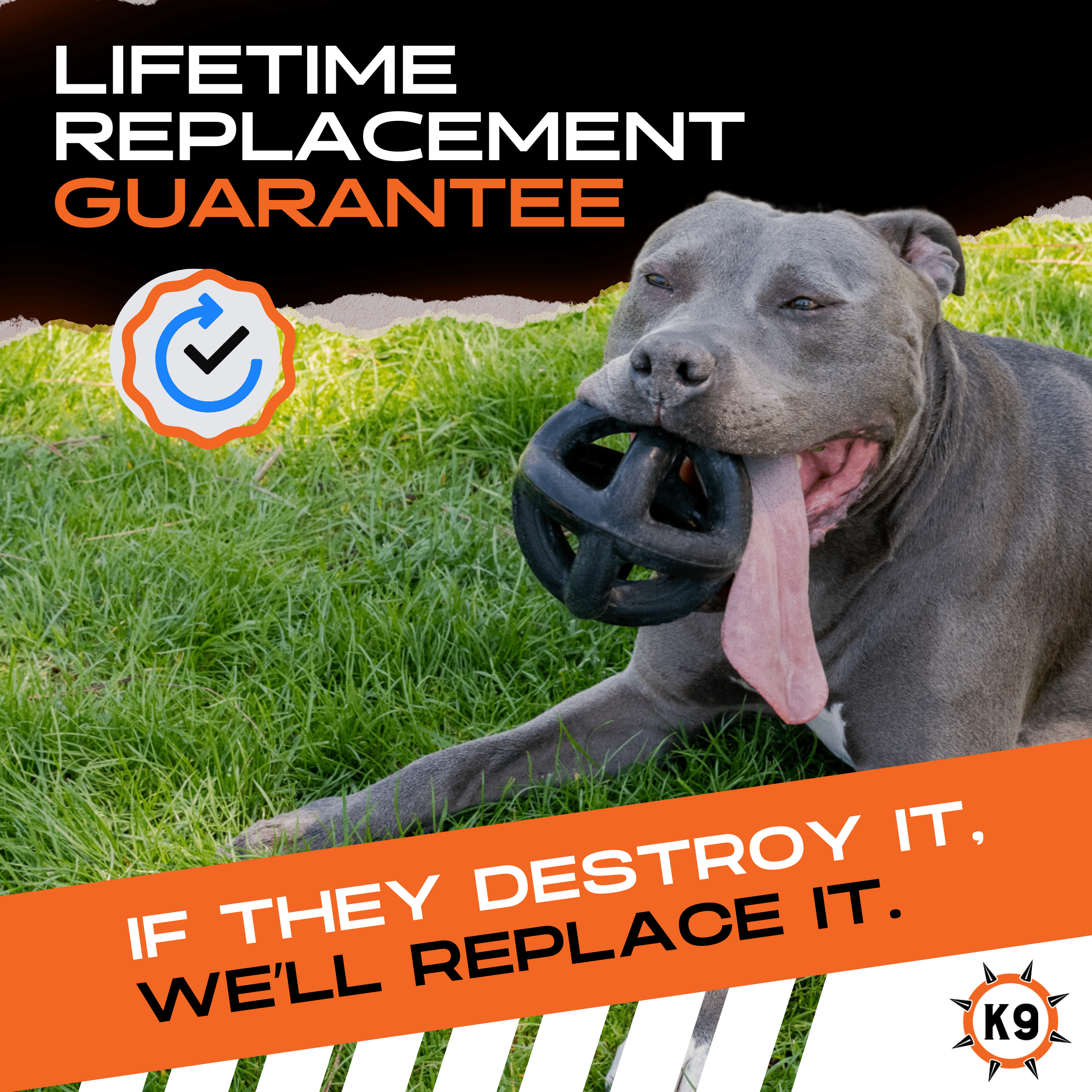 Monster K9® Indestructible Ring Ball Chew Toy for Aggressive Chewers (Medium–Large Dogs)