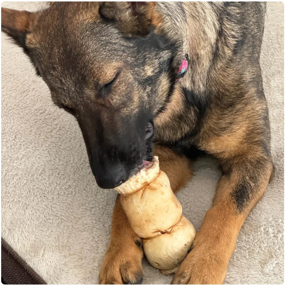 Peanut Butter-Filled Beef Cheek Roll for Dogs (5–6 Inch) – Long-Lasting & Rawhide-Free