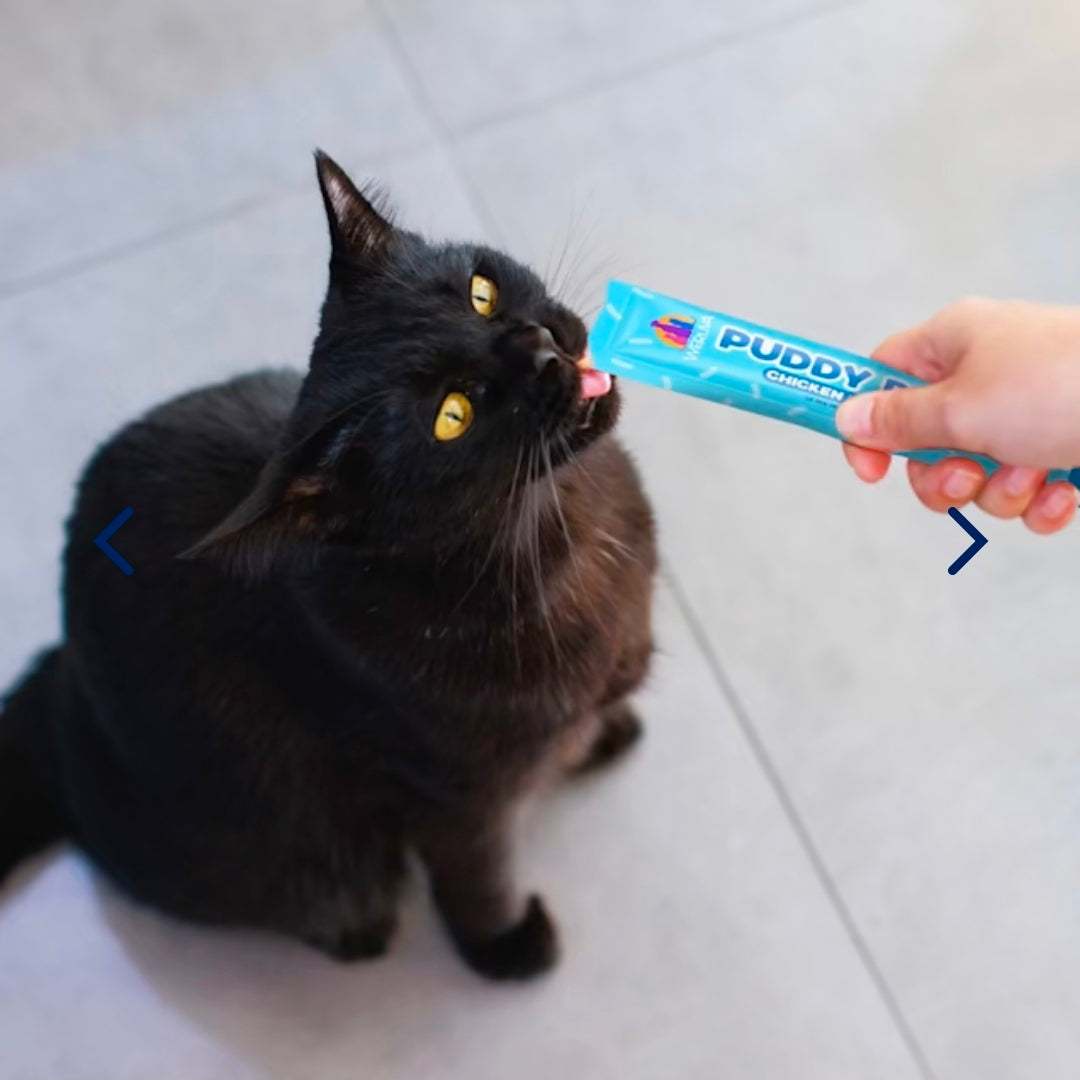 Weruva Puddy Pops Chicken Lickable Cat Treats – Hydrating High-Protein Cat Treat Tubes