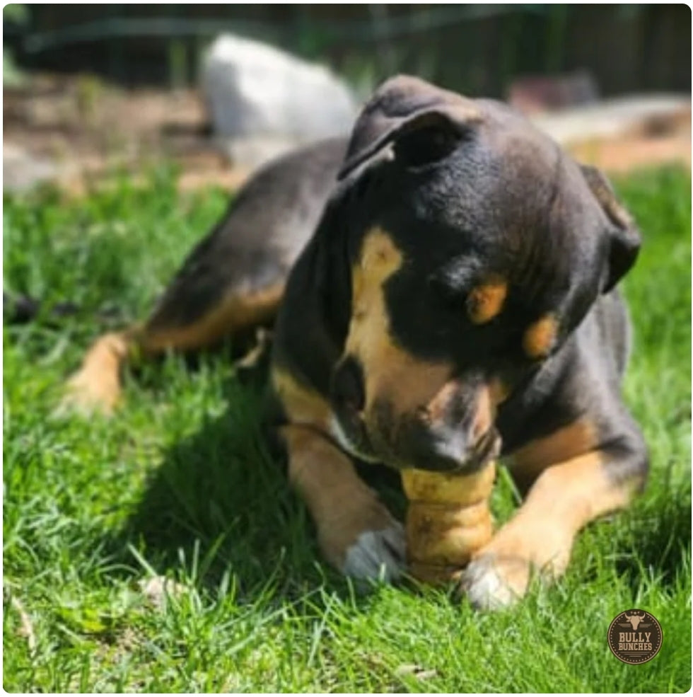 Peanut Butter-Filled Beef Cheek Roll for Dogs (5–6 Inch) – Long-Lasting & Rawhide-Free