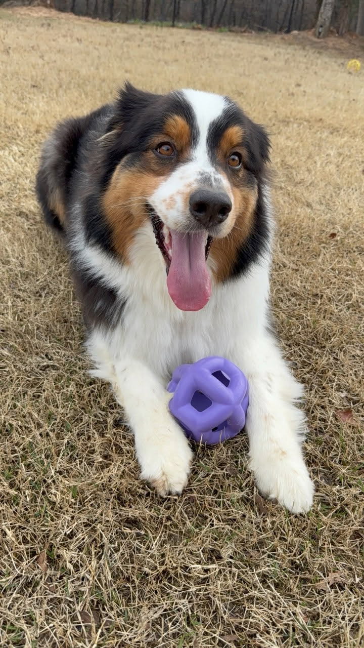 Yomp Heli Ring MAX Dog Toy – Durable Hollow Ball for Fetch & Tug