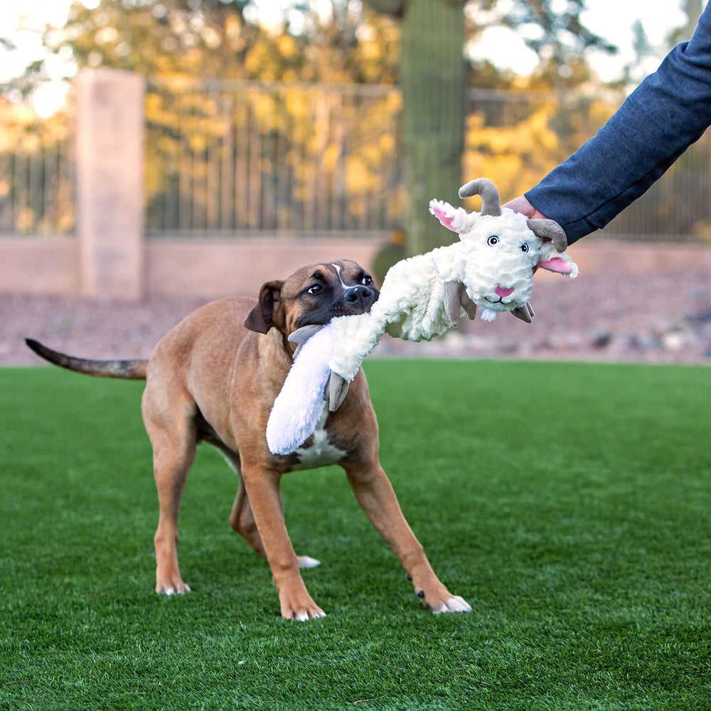 JollyPet Fat Tail Kangaroo Dog Toy – Durable, Squeaky, and Fun Chew Toy for All Breeds