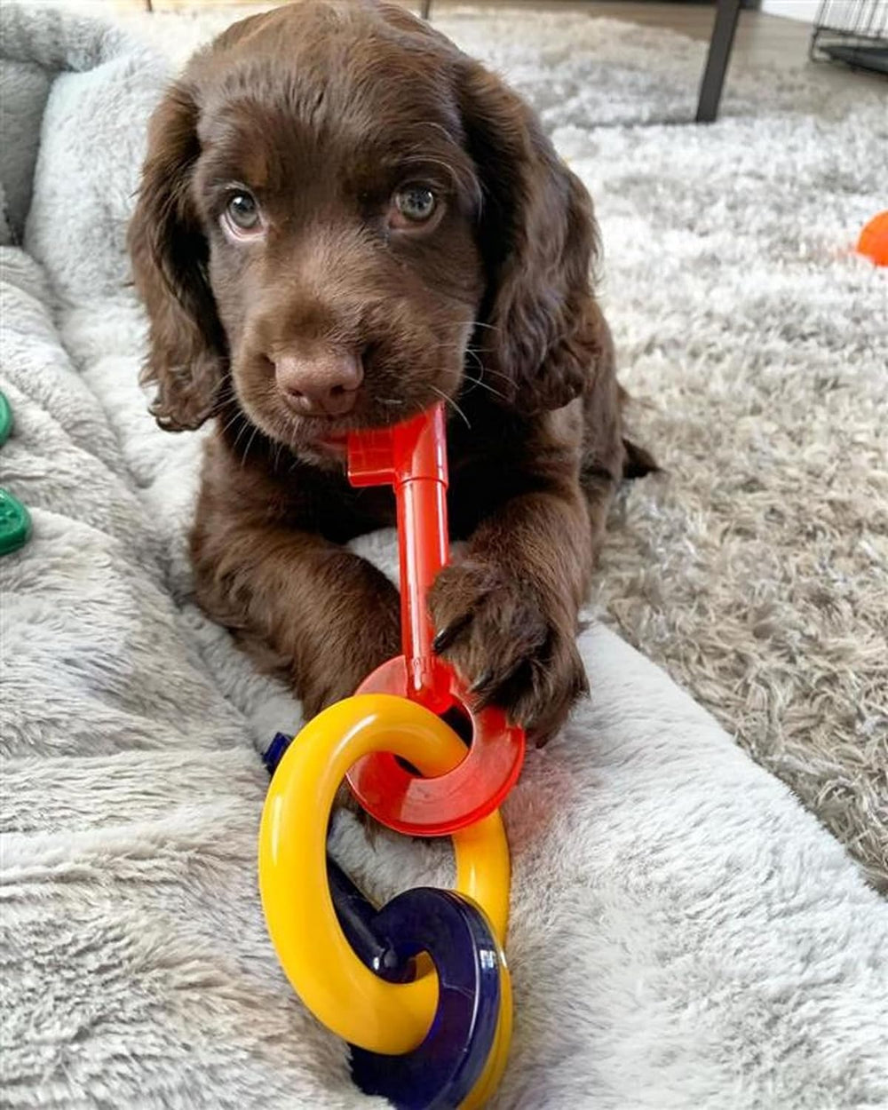 Nylabone Puppy Teething Chew Toy Key Ring – Soothing Teether for Gentle Chewers