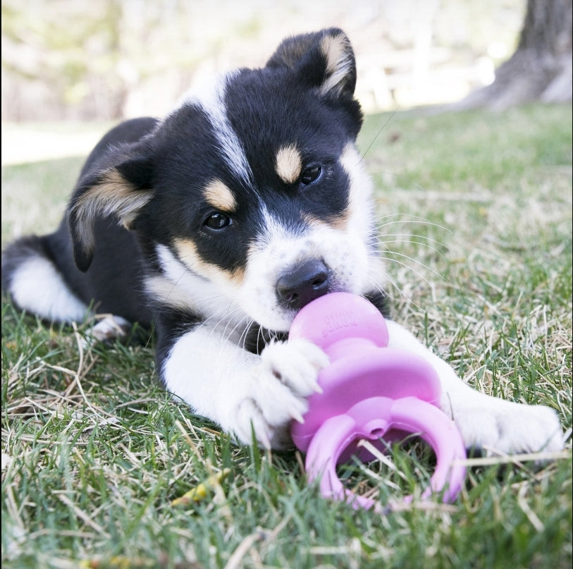 KONG Binkie Puppy Chew Toy – Small, Assorted Colors – Soothing Teething Toy for Puppies