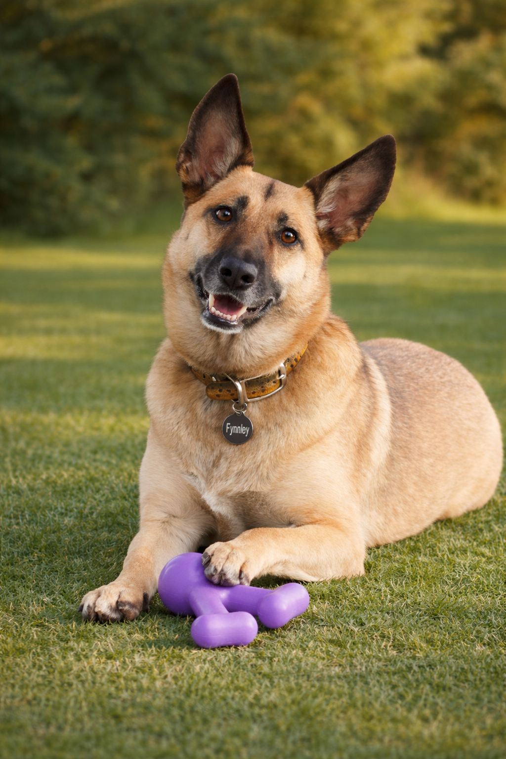Yomp FunnyBone Dog Toy – Durable Silicone Chew & Tug Toy with GnawRight™ Texture