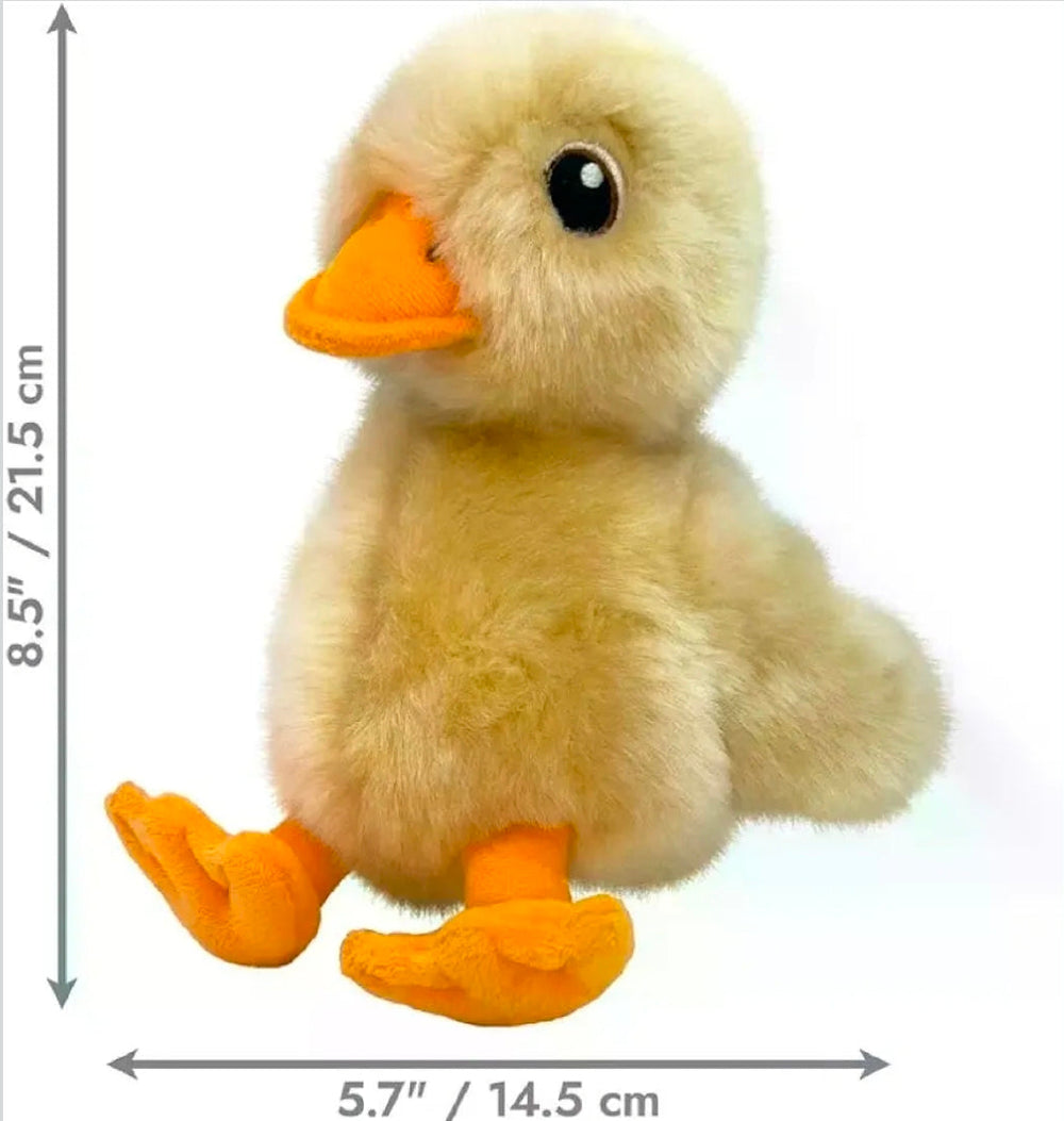 KONG Toughz Plush Dog Toy – Durable Indoor Toy with Double Squeaker (Medium)