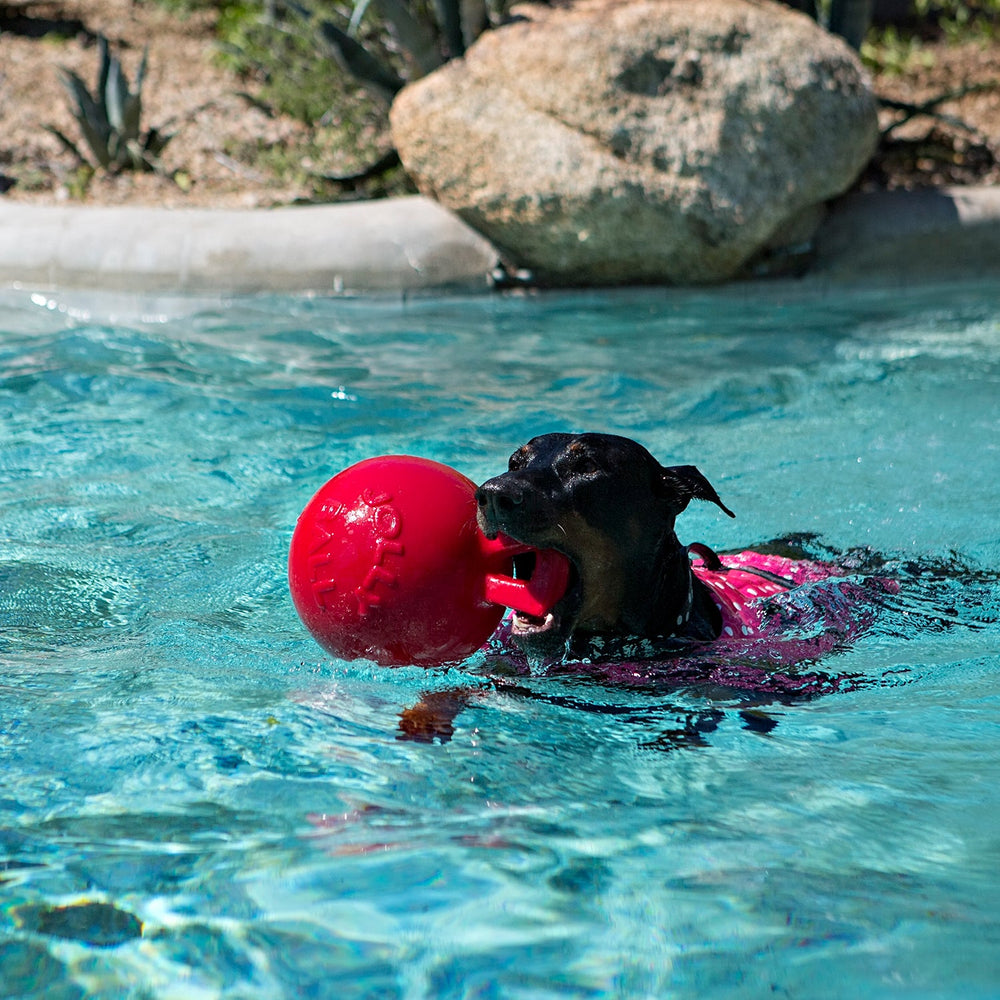 Jolly Pets Tug-n-Toss Mini – Small Bouncy Dog Ball with Handle | Lightweight & Floatable Toy for Small Breeds