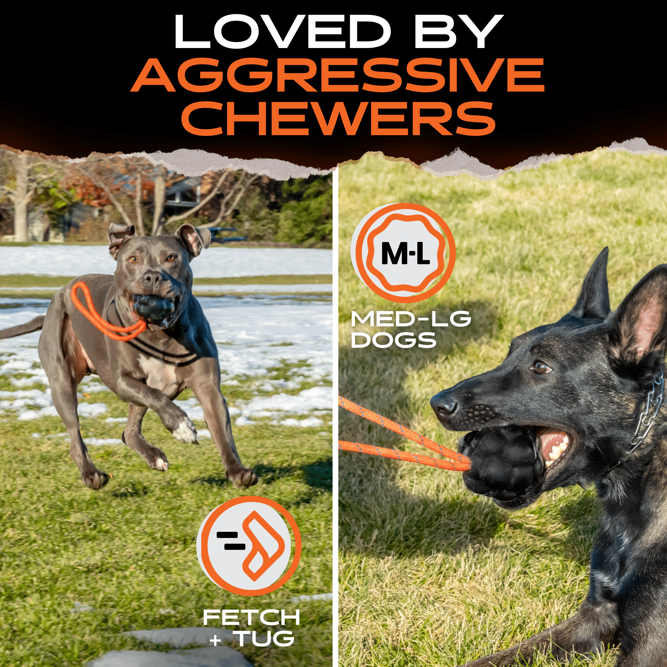 Rumble Rope Ball – Durable Natural Rubber & Rope Interactive Dog Toy