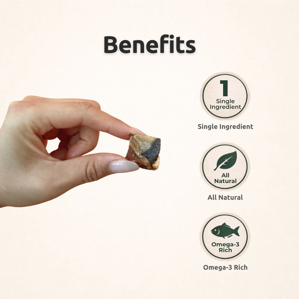 FreezeBone Salmon Skin Cubes Dog Treats – Single Ingredient Omega-Rich Crunchy Dog Treats (Value Size 8oz)