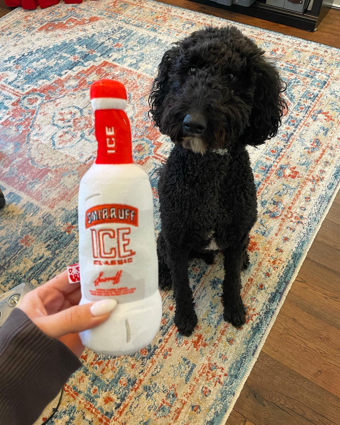 Pawty Smirruff Ice Plush Squeaky Dog Toy – Funny Novelty Fetch Toy for Dogs
