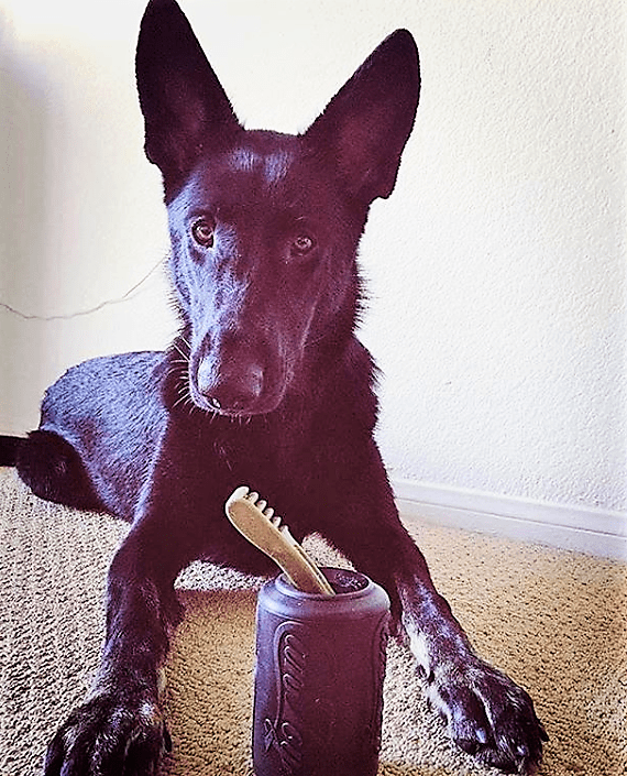 SodaPup Magnum Can Rubber Chew Toy & Treat Dispenser – USA-Made Enrichment Toy for Extreme Chewers