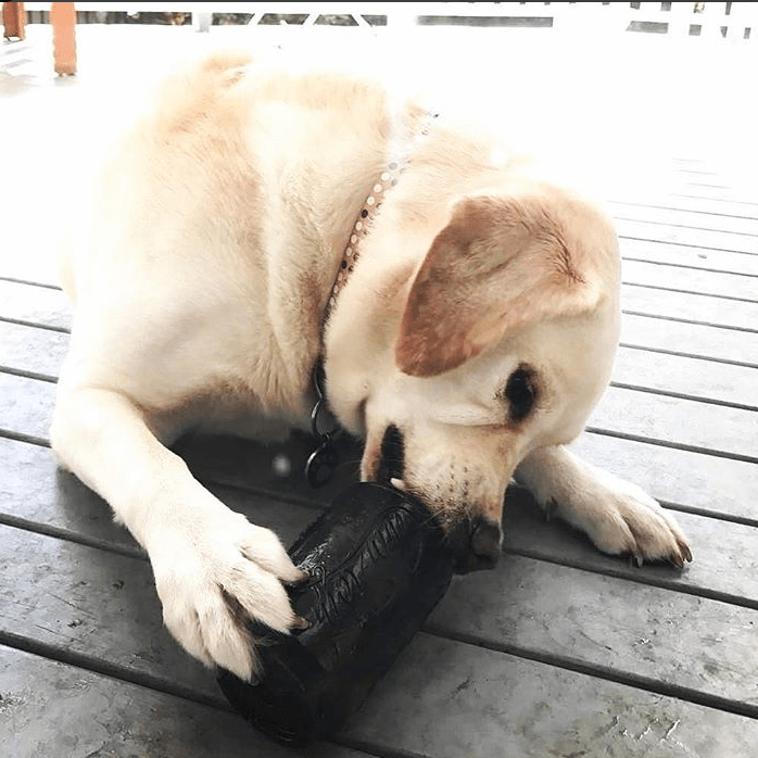 SodaPup Magnum Can Rubber Chew Toy & Treat Dispenser – USA-Made Enrichment Toy for Extreme Chewers